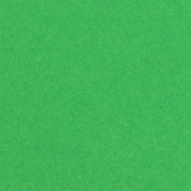 Papierbogen A4 200g apfelgrün